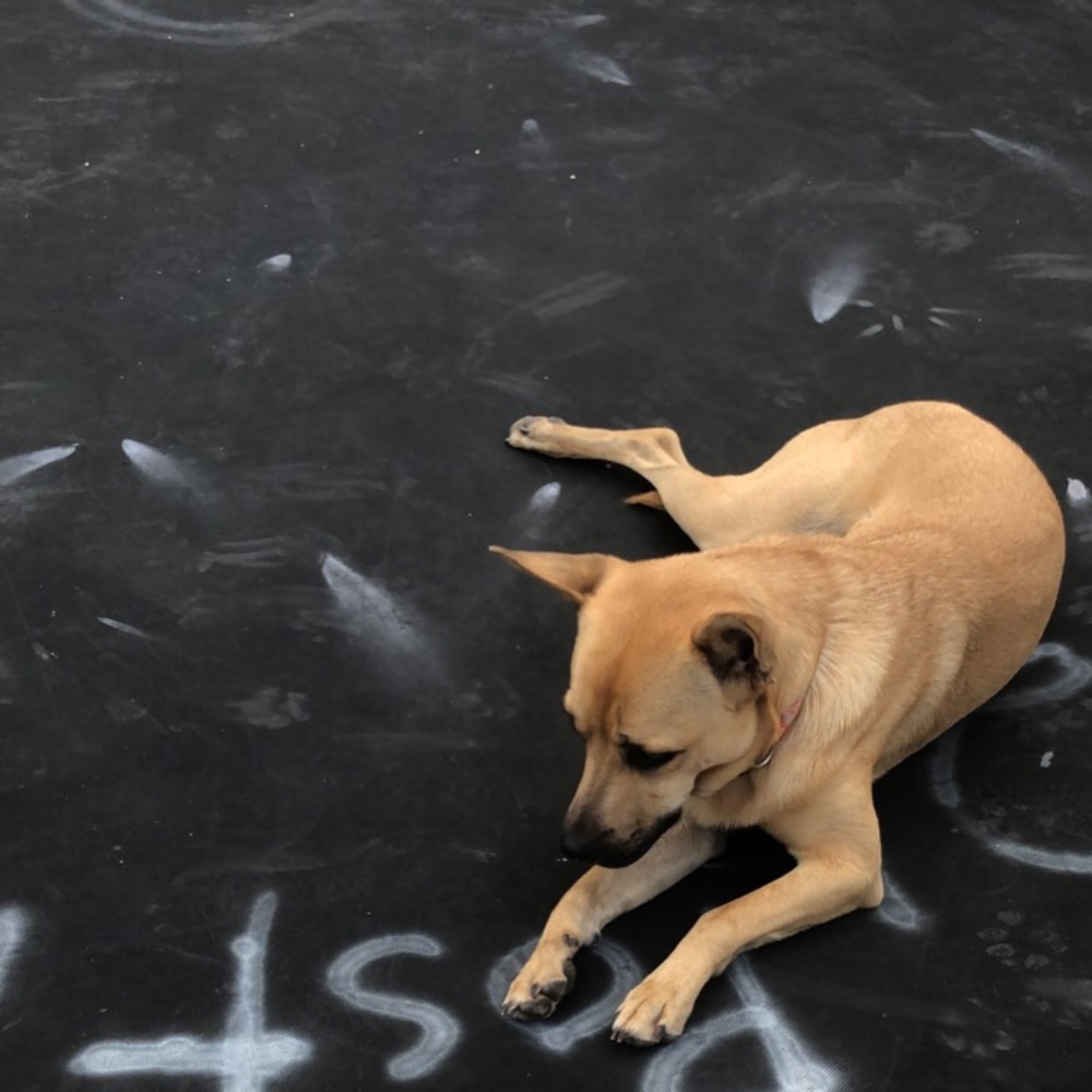 Meet your Posher, Johnny